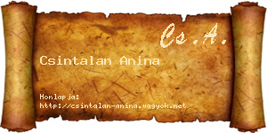 Csintalan Anina névjegykártya
